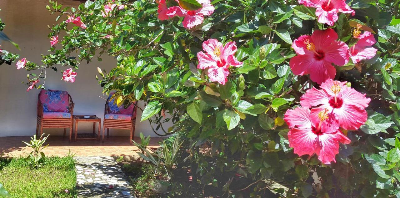 Bed and Breakfast Vida Tropical Alajuela Exteriér fotografie