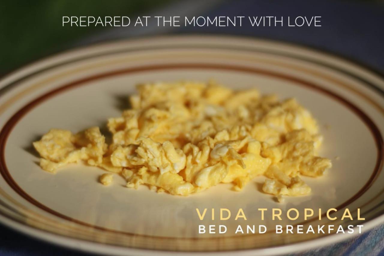 Bed and Breakfast Vida Tropical Alajuela Exteriér fotografie